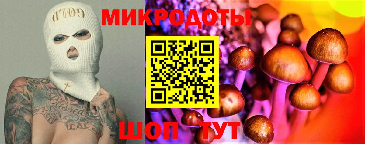 Ростов Великий  Псилоцибиновые грибы Psilocybine cubensis  Вход с VPN 